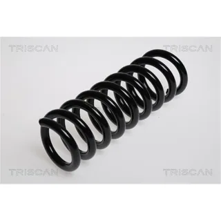 Triscan Feder hinten Mercedes C-Klasse Clc-Klasse Clk E-Klasse Slk