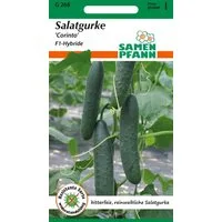 SAMEN PFANN Gemüsesamen Salatgurke, Freiland-Salatgurke, Corinto F1 - Gemüse Gurken-Samen, Cucumis sativus