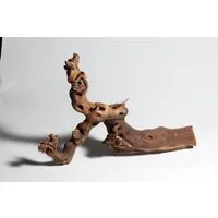 M&S Reptilien Terrariendeko Rebwurzel XL, Länge: ca. 70-80 cm, (1-tlg)