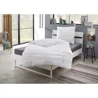 fan Microfaserbettdecke Komfort Plus, Bettdecke in 135x200 cm und weitere Größen erhältlich, Füllung: 100% Lyocell, Bezug: 100% Polyester, Made in Germany! Zu jeder Jahreszeit ideal für Schwitzer