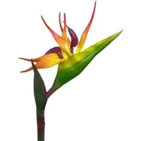 Kunstblume Künstliche Strelitzie ca. 83cm Paradiesvogelblume Papageienblume, Floratexx GmbH