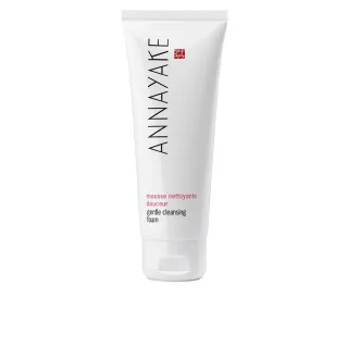 Aktiver Reinigungs-Schaum Frischer Weichmacher 75 ml