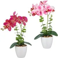 Kunstorchidee Orchidee Phalaenopsis, Creativ green, Höhe 40 cm, mit Eukalyptuszweigen