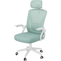 ZAISZE Bürostuhl Ergonomisch Schreibtischstuhl Höhenverstellbar mit Wippfunktion (90° hochklappbaren Armlehnen, ergonomischer Schreibtischstuhl mit Lendenstütze und Kopfstütze, atmungsaktive Netzbespannung, um 360° drehbarer Stuhl)