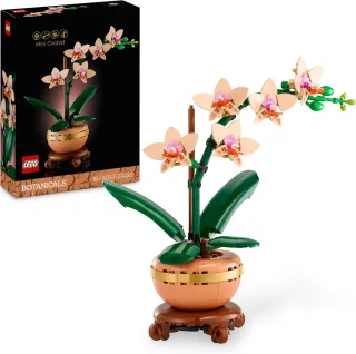 LEGO Botanicals 10343 - Mini-Orchidee