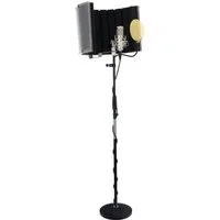 Pronomic Standmikrofon CM-100 Studio Großmembran- Kondensatormikrofon (Komplettset Popschutz gold, 10-tlg), inkl. Mikrofonständer, Micscreen, 5m XLR-Kabel