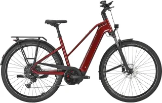 E-Bike  - Pegasus Premio Evo 10 Lite unisex rot   / Akku: 600 Wh  - 55 cm