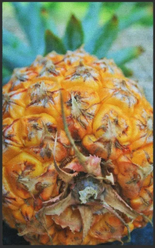 Fussmatte Ananas 7591 | Größe: 60 cm x 90 cm