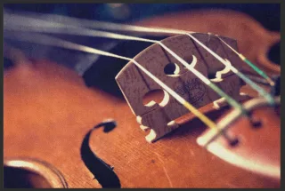 Fussmatte Violine 6134 | Größe: 60 cm x 45 cm