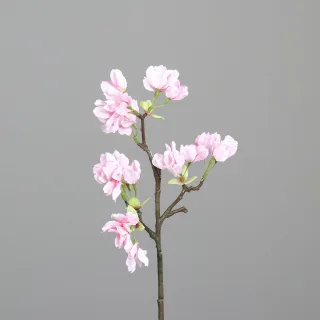 40 cm