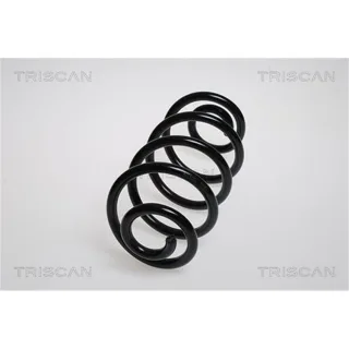 Triscan Feder hinten Renault Vel Satis