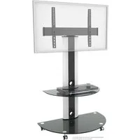 RICOO TV-Ständer Mobiler TV-Ständer modern und schwenkbar mit Glas-Ablagen FS0502, (bis 55 Zoll, bis VESA 600x400, 1-tlg., 30 kg Belastbarkeit, für 30 Zoll bis 55 Zoll Bildschirm-Diagonale, TV Standfuß mit Rollen Fernseher Stativ rollbar schwenkbar d