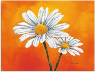 Artland Alu-Dibond-Druck "Margeriten auf Orange" Blumen 1 Stk. tlg. für Innen- und Außenbereich geeignet, Outdoorbild