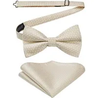 LuxusKollektion Fliege Fliege Herren Vorgebunden Set Einstecktuch Hochzeit Beige