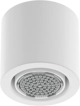 Neuesbad Serie 600 Kopfbrause 1 Strahlart mit schwenkbarem Auslauf, Oberfläche: weiss matt NB1NQS_A30K1