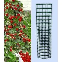 BALDUR Garten Obstpflanze Kletter-Erdbeere 'Hummi®' und Dekorativer Rankturm, 1 St., Ertragreich, winterhart, mehrjährig, pflegeleicht
