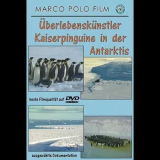 Überlebenskünstler Kaiserpinguine in der Antarktis
