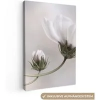 OneMillionCanvasses® Leinwandbild Blumen - Stillleben - Natur - Grau, Fotodruck (1 St), Leinwand Canvas Wandbild, Wanddekoration 20x30 cm