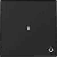 GIRA Wippe Kontrollf. + Symb. Schwarz m 3674005 schwarz, Retail