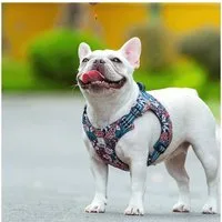Truelove Hunde-Geschirr Geschirr Floral Navy Blazer blau