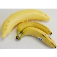 FACKELMANN Aufbewahrungsbox Fackelmann Bananentresor 25 x 7 cm