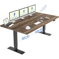 FLEXISPOT Schreibtisch Sitz-Steh-Tisch mit Memory-Funktionen (110X54/140X70/ 160X70/ 180X80/ 200X80 CM), Dual-Motor, 4 Speicherplätze, Anti-Kollisionssystem