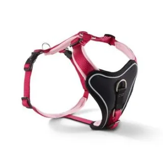 Wolters Professional Comfort Hundegeschirr rosa L