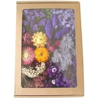Trockenblume Klein Trockenblumen Deko Trockenblumen mit Papierbox Getrocknete Blumen, Trockenblumen zum Basteln, Agger, für Heimwerken Harz Scrapbooking Karten Heimdekoration