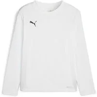 PUMA Langarmshirt Puma Kinder Langarm Shirt teamGOAL LS Jersey Jr 705751