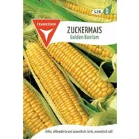 FRANKONIA Gemüsesamen Zuckermais, Golden Bantam - Saatgut Samen, Zea mays