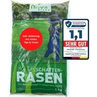 halmland Rasensamen Premium Schattenrasen Rasensamen 1 kg - schnellkeimend, robust, 30m²