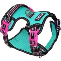 DOOG Hunde-Geschirr Neotech Geschirr Rin Tin Tin grün/pink
