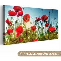 OneMillionCanvasses® Leinwandbild Panorama Mohnblumen - Toskana - Sonne - Rot - Blau, Fotodruck (1 St), Wandbild, Deko Schlafzimmer Wohnzimmer Flur 40x20 cm
