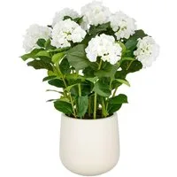 Kunstpflanze Hortensie, Creativ green, Höhe 70 cm, im eleganten Topf