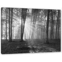 Pixxprint Leinwandbild Wald mit Sonnenstrahlen, Wald mit Sonnenstrahlen (1 St), Leinwandbild fertig bespannt, inkl. Zackenaufhänger