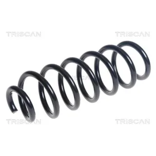 Triscan Feder Hinten Nissan Qashqai 2 875014129