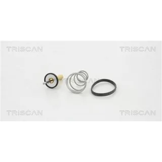 Triscan Thermostat Ford 862053450
