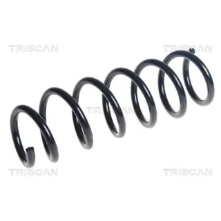 Triscan Feder vorne BMW 5er G30 875011253