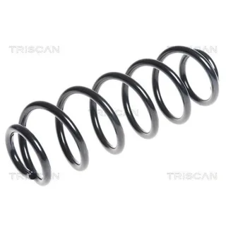 Triscan Feder hinten Skoda Octavia VW Beetle Golf Jetta