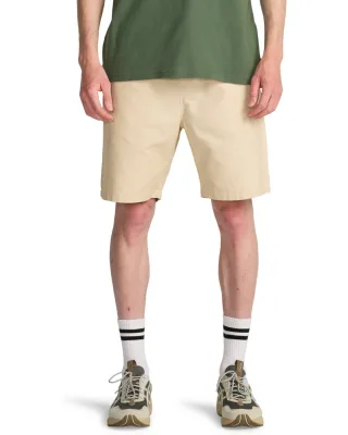Billabong Shorts "Larry Linen"