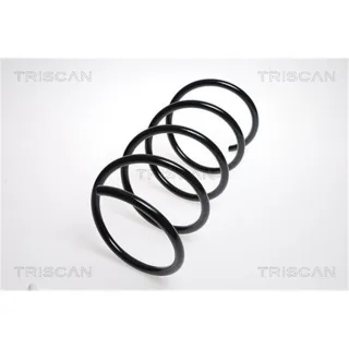 Triscan Feder vorne Mercedes C-Klasse Clc-Klasse Clk 875023126