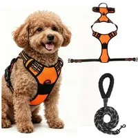 BlingBin Hunde-Geschirr Antizug Hundegeschirr mit Leine, Anti Zieh Geschirr für Hunde, Nylon und Polyester, Atmungsaktives und Reflektierendes Brustgeschirr für Mittelgroße Hunde