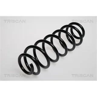 Triscan Feder hinten Audi A3 Kia Cerato