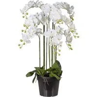 Kunstpflanze Orchidee, Creativ green, Höhe 110 cm