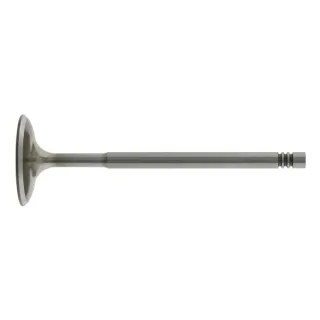 Febi Einlassventil Audi VW 26525
