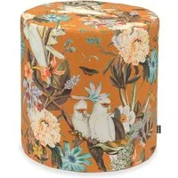 H.O.C.K. Sitzwürfel H.O.C.K. Botanic Hocker rund ø45x45cm camel Vögel Blumen very british, Hocker: Bequem, vielseitig, Wohnzimmer & Schlafzimmer