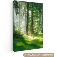 OneMillionCanvasses® Leinwandbild Natur - Bäume - Wald - Grün - Sonne - Gras - Pflanzen, Fotodruck (1 St), Leinwand Canvas Wandbild, Wanddekoration 20x30 cm