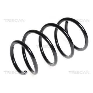 Triscan Feder vorne BMW 5er E61 Touring 875011130