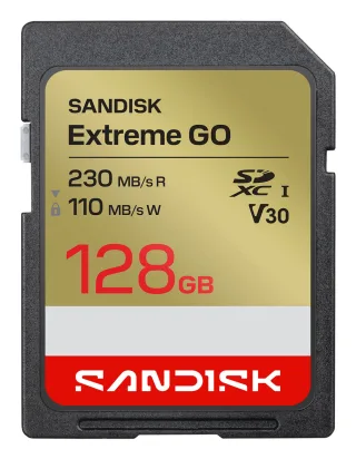SanDisk Extreme Go | sdsdxgn-128g-gncin | Flash-Speicherkarte - 128