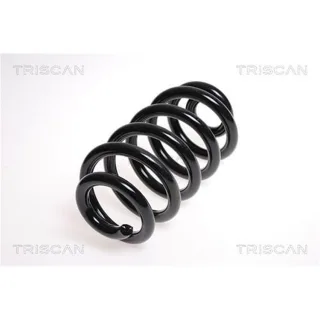 Triscan Feder hinten Audi A6 C6 875029186